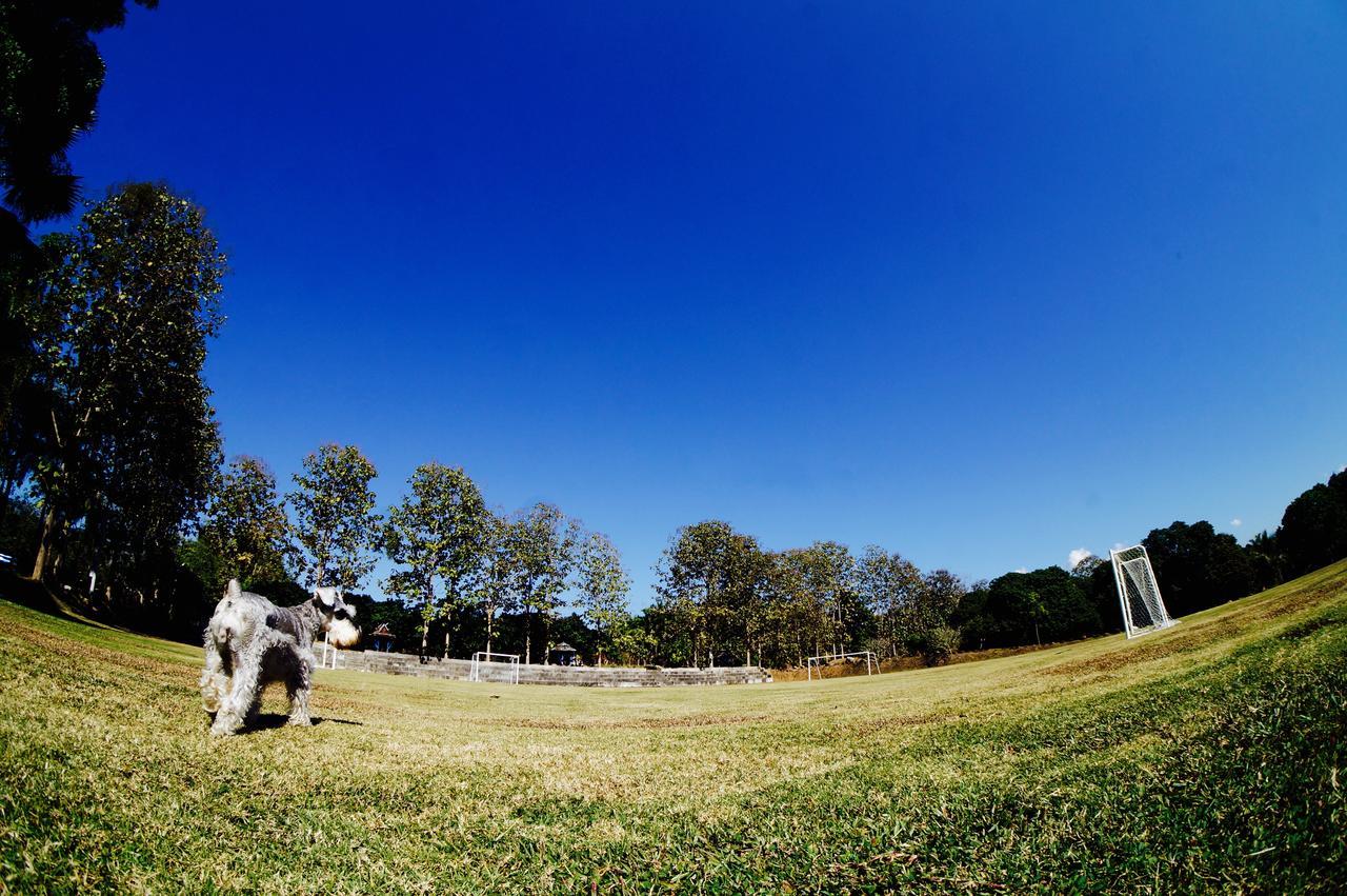 The Teak Resort Chiangdao Chiang Dao Exterior photo